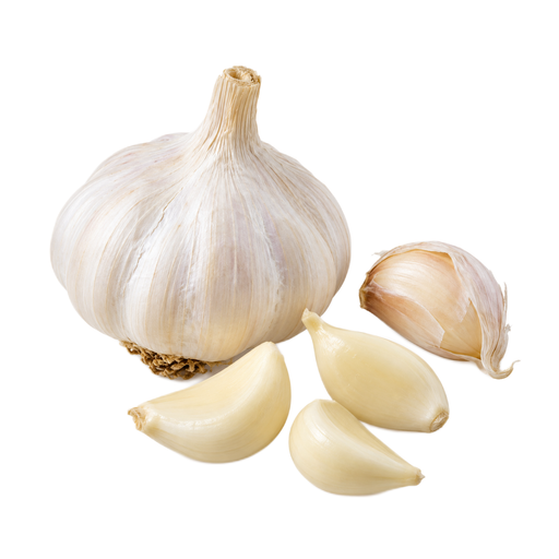 Illustration of Garlic, raw