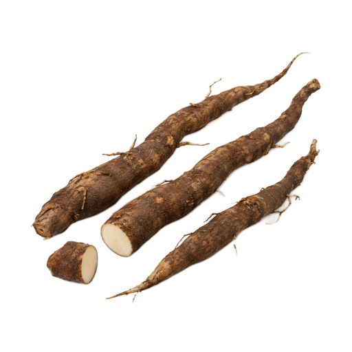 Illustration of Mashu roots, raw (Alaska Native)