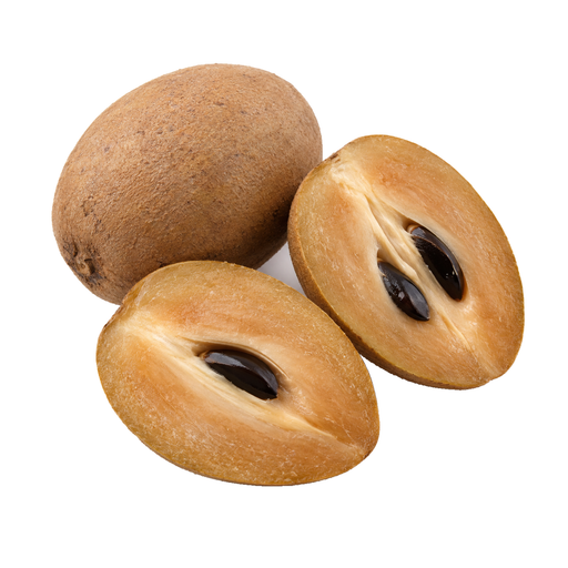 Illustration of Sapodilla, raw