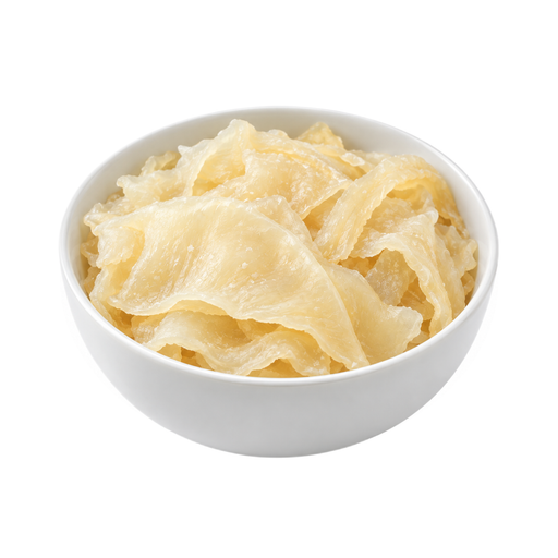 Illustration of Jellyfish, dried, salted
