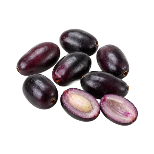 Illustration of Java-plum, (jambolan), raw