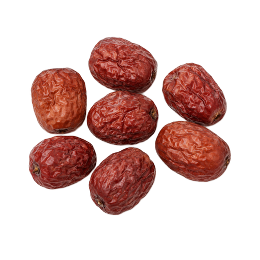 Illustration of Jujube, Chinese, fresh, dried
