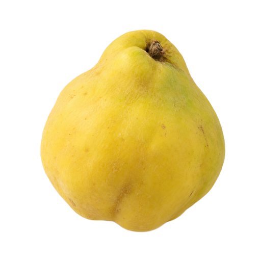 Illustration of Quinces, raw