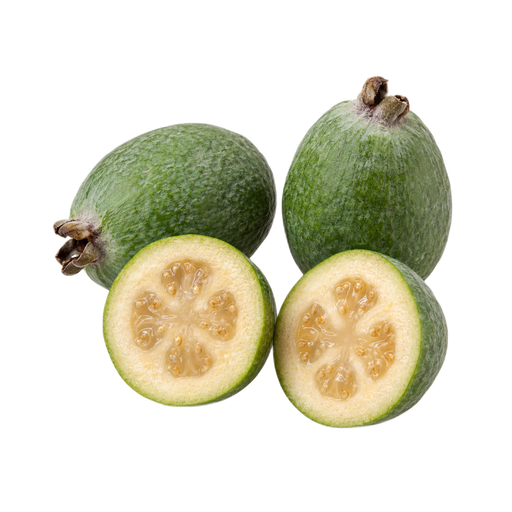 Illustration of Feijoa, raw