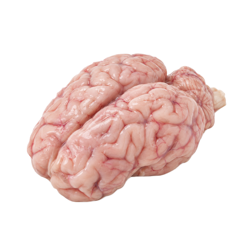 Illustration of Pork, fresh, variety meats and by-products, brain, raw