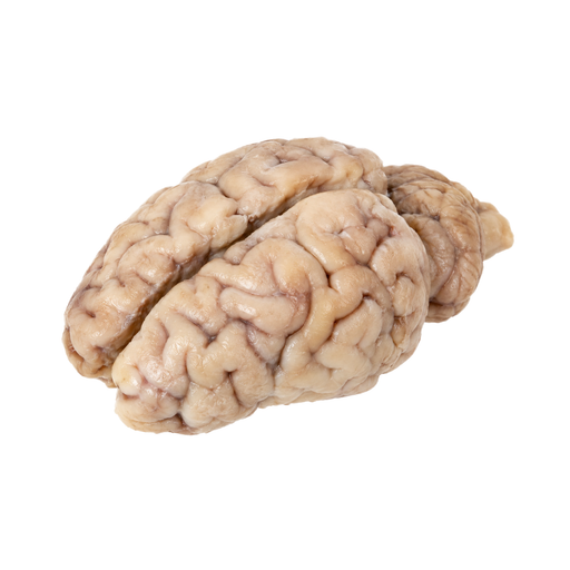 Illustration of Pork, fresh, variety meats and by-products, brain, cooked, braised