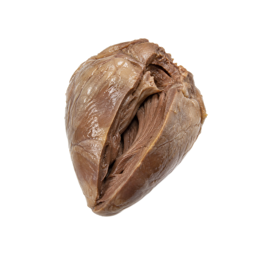 Illustration of Pork, fresh, variety meats and by-products, heart, cooked, braised