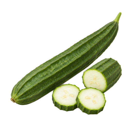 Illustration of Gourd, dishcloth (towelgourd), raw