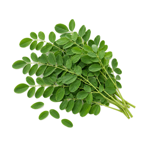 Ilustración de Hojas de moringa, crudas