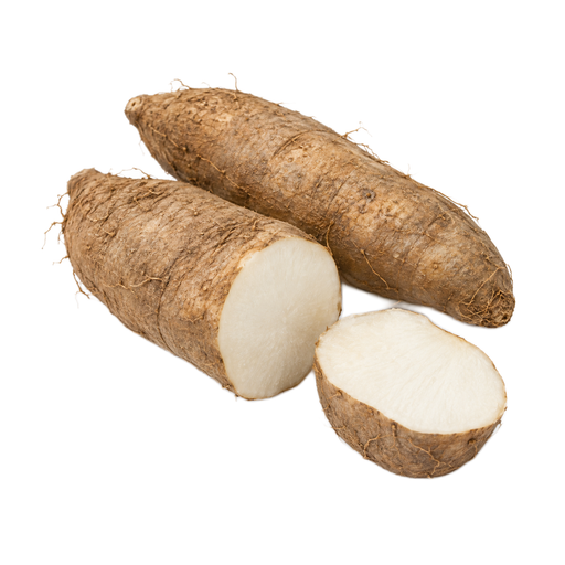 Illustration of Mountain yam, hawaii, raw