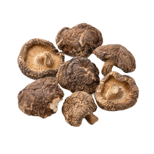 Illustration of Mushrooms, shiitake, dried