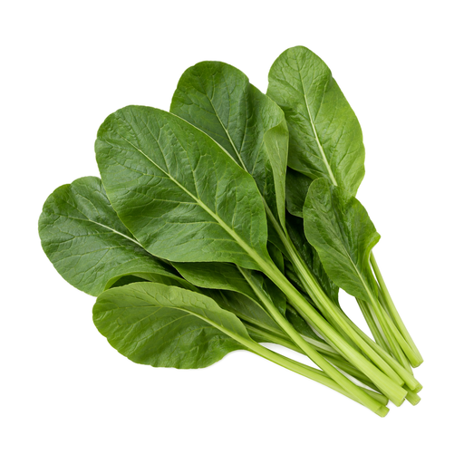 Illustration of Mustard spinach, (tendergreen), raw