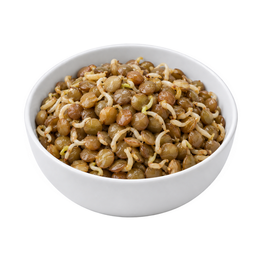 Illustration of Lentils, sprouted, cooked, stir-fried, with salt