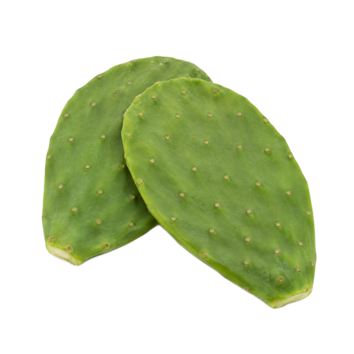 Illustration of Nopales, raw
