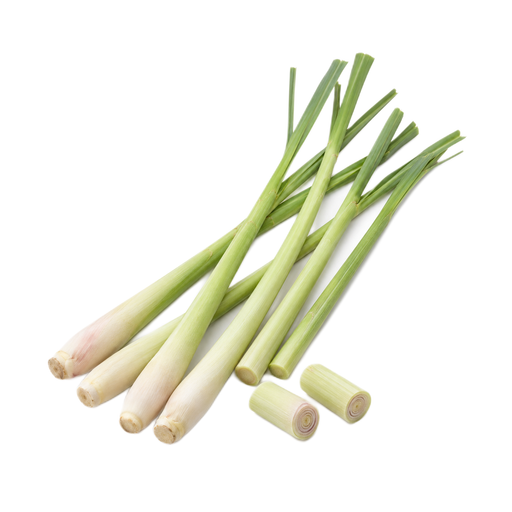 Illustration of Lemon grass (citronella), raw