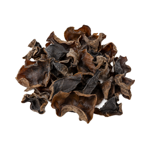 Illustration of Fungi, Cloud ears, dried