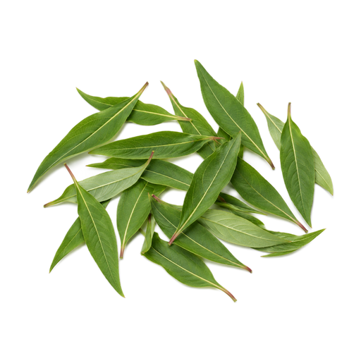 Illustration of Fireweed, young leaves, raw (Alaska Native)