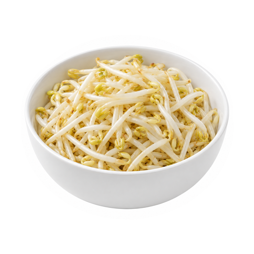 Illustration of Mung beans, mature seeds, sprouted, cooked, stir-fried