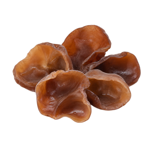 Illustration of Jew's ear, (pepeao), raw