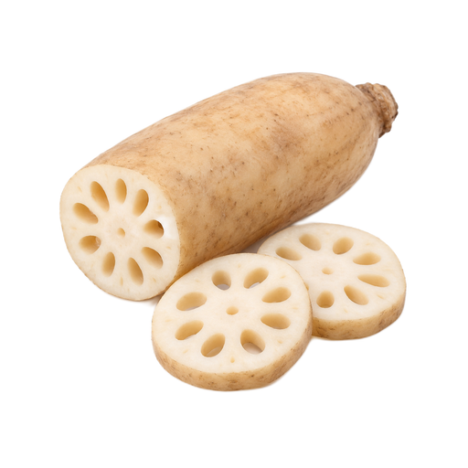 Illustration of Lotus root, raw