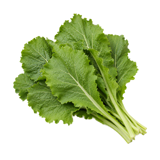 Illustration of Mustard greens, raw