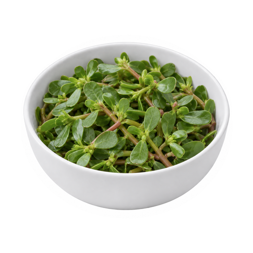 Illustration of Purslane, raw