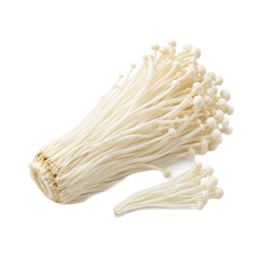 Illustration of Mushrooms, enoki, raw