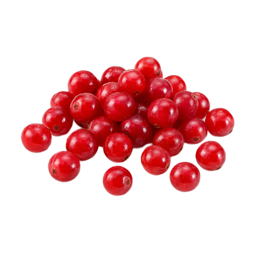 Ilustração de Frutos silvestres de arbusto conhecidos como cranberry, crus (povos nativos do Alasca)