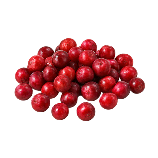 Ilustração de Oxicoco de arbusto baixo ou airela (lingonberry), cru (povos nativos do Alasca)
