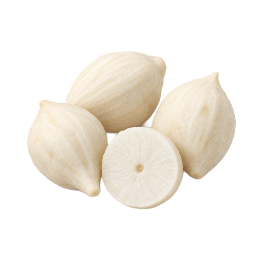Illustration of Prairie Turnips, raw (Northern Plains Indians)