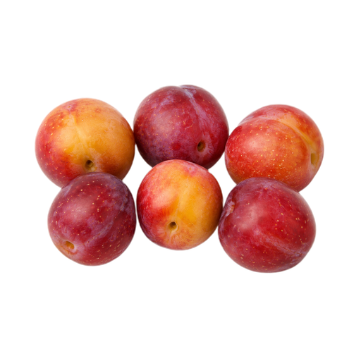 Illustration of Plums, wild (Northern Plains Indians)