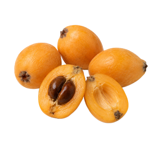 Illustration of Loquats, raw