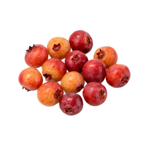 Illustration of Oheloberries, raw