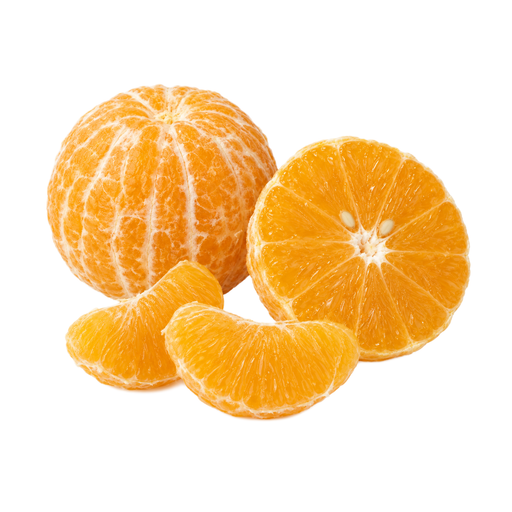 Illustration of Oranges, raw, California, valencias