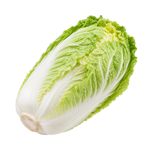 Ilustração de Couve-chinesa (pe-tsai), crua