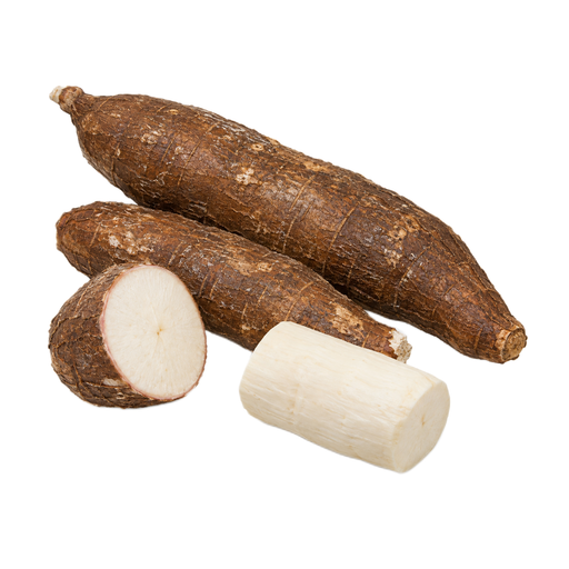 Ilustración de Yuca cruda