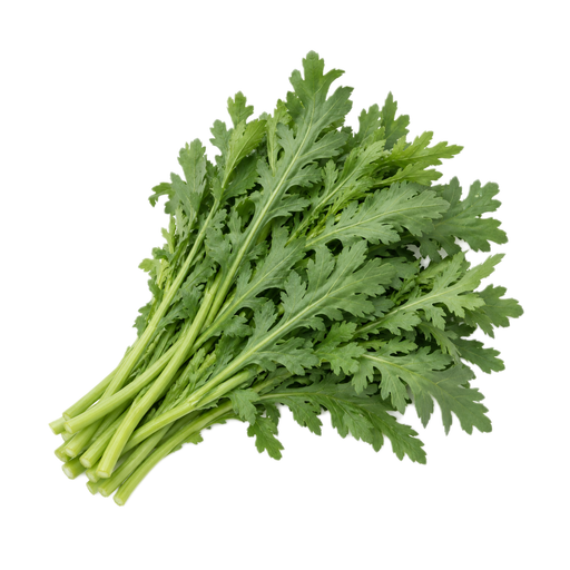 Ilustración de Crisantemo comestible (garland), crudo