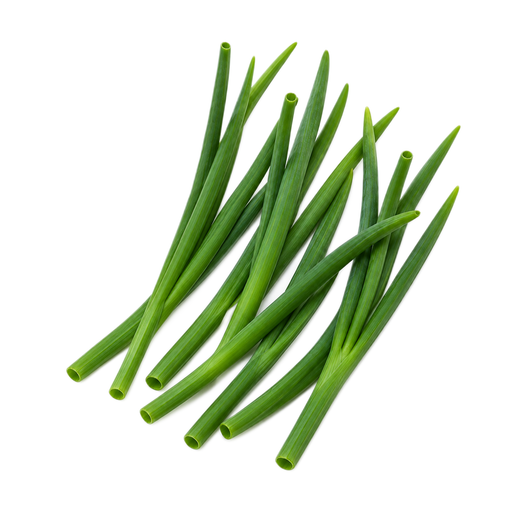 Illustration of Onions, young green, tops only