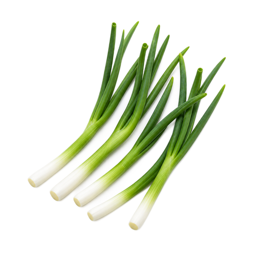 Illustration of Onions, welsh, raw