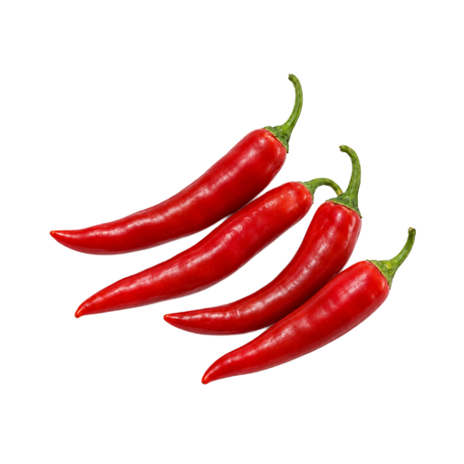 Illustration of Peppers, hot chili, red, raw