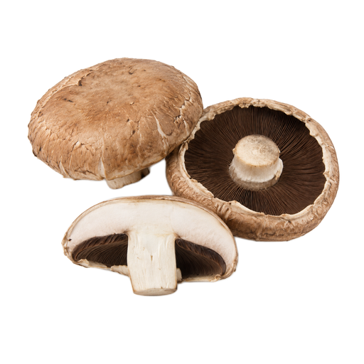 Illustration of Mushrooms, portabella, exposed to ultraviolet light, raw