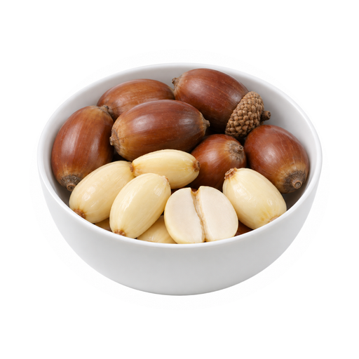 Illustration of Nuts, acorns, raw