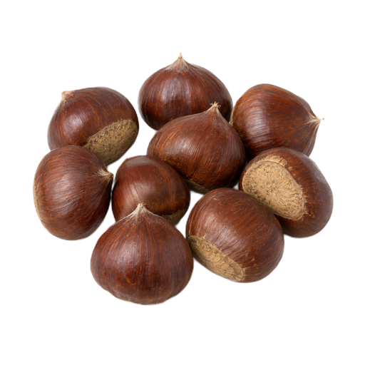 Illustration of Nuts, chestnuts, chinese, raw