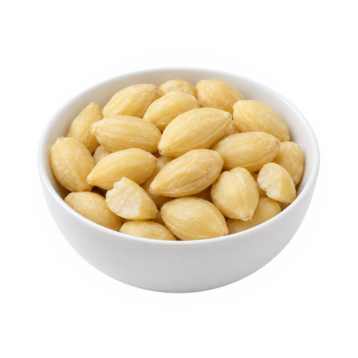 Illustration of Nuts, ginkgo nuts, dried
