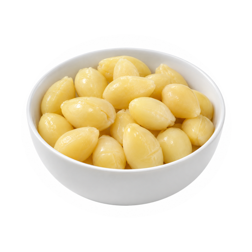 Illustration of Nuts, ginkgo nuts, canned