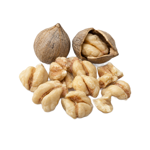 Illustration of Nuts, hickorynuts, dried