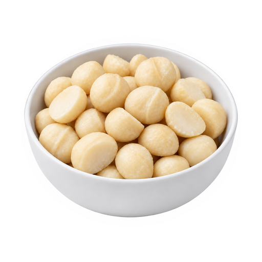 Illustration of Nuts, macadamia nuts, raw