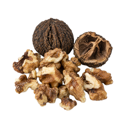 Illustration of Nuts, walnuts, black, dried