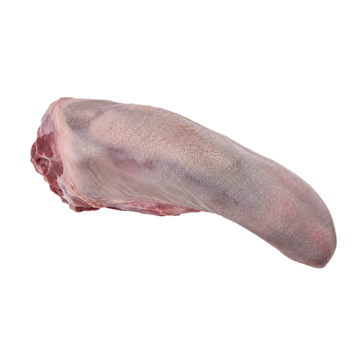 Ilustração de Língua bovina, crua