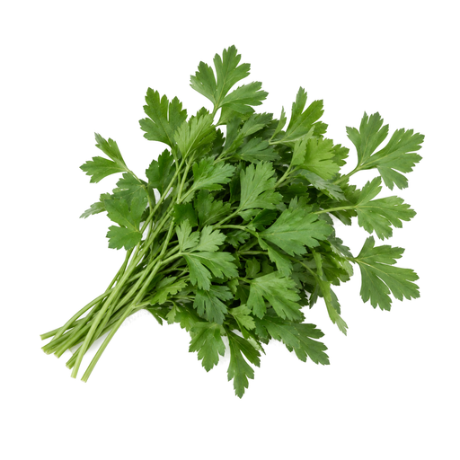 Illustration of Parsley, fresh